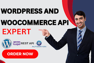 integrate any API into wordpress woocommerce rest API custom integration