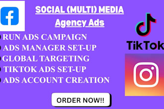 create tiktok agency ad account, tiktok ad manager, facebook and instagram ads