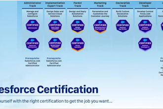 pass your salesforce certificate, get training, job support