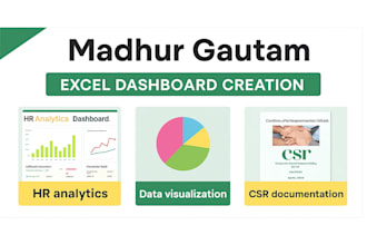professional excel dashboards and HR analytics reports