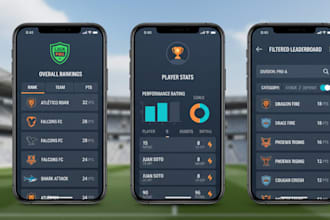 develop a sports club league or tournament management system