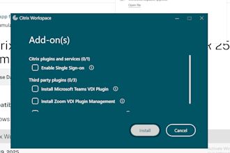 provide expert citrix support