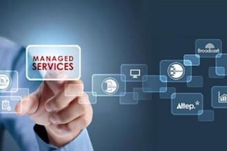 handle IT projects, software management and system management professionally
