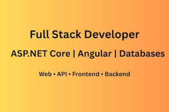 work as a backend asp net core and frontend angular software engineer