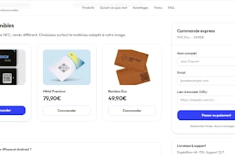 build a professional e commerce store