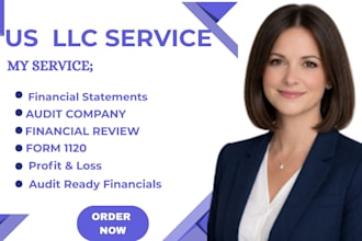 us CPA profit and loss, financial statements, CPA letter, and  audit financials