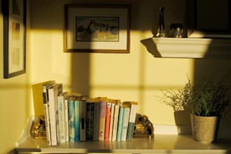 write urgent literature,essay, linguistic, critical analysis, non fiction prose