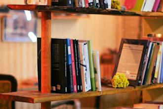 write urgent literature,essay, story analysis, drama, critique evaluation