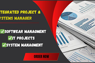 handle IT projects, software management and system management professionally