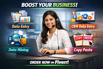 do professional data entry, CRM data entry, and data mining