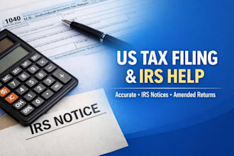 prepare and file US tax returns, handle irs notices, and amended returns