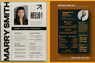create creative resume, portfolios pdfs and visual resumes