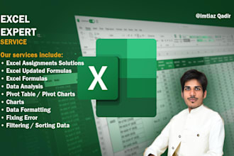 solve ms excel assignments, spreadsheets, formulas, charts