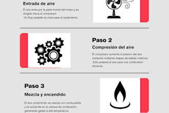 diseñaré infografías e ilustraciones claras y profesionales