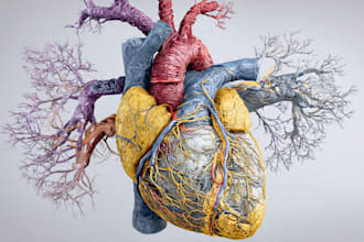draw professional medical illustrations