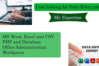 do data entry, excel, CSV, and data cleaning