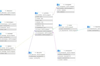 organize, and preprocess your data professionally