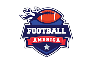 create high quality and beautiful nfl logo design