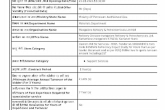 prepare professional tender and bid documents