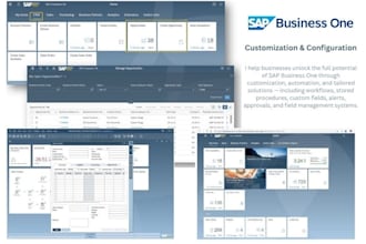tailor sap business one workflows, configurations, and customizations