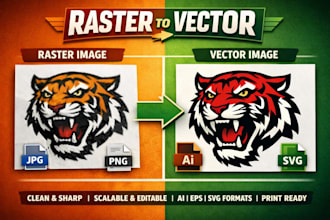 manual vector tracing clean and smooth working process