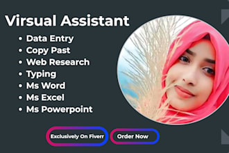 do data entry web research typing and virtual assistant work