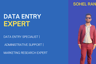 handle your data entry and excel projects