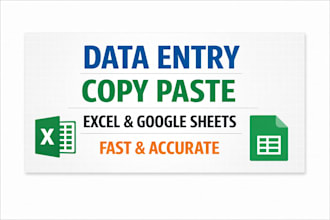 accurate data entry , excel , copy paste and web research