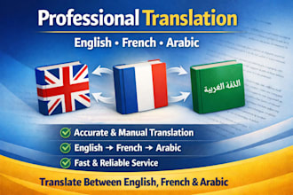 provide professionnel english french and arabic translation