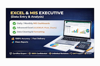do advanced data entry, excel cleaning, and create interactive mis dashboards