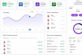 software developer full stack web app, erp, CRM, saas app, mlm, odoo, database
