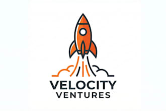 design a unique vector mascot logo for your business