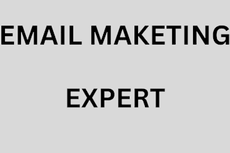 create a responsive email newsletter template