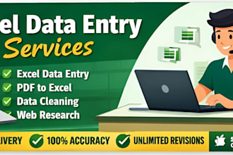 do professional excel data entry and data cleaning