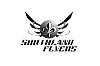 make a professional flying club logo