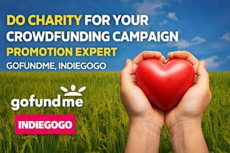 do charity for your crowdfunding campaign promotion expert ,gofundme, indiegogo