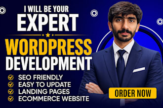design professional wordpress web development expert