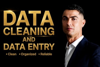 do excel data entry, copy paste, typing, PDF, data entry