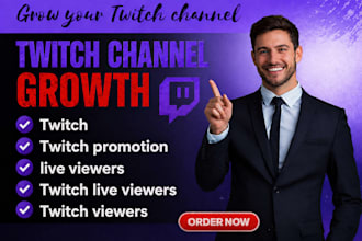 perform twitch promotion with twitch viewers and twitch followers