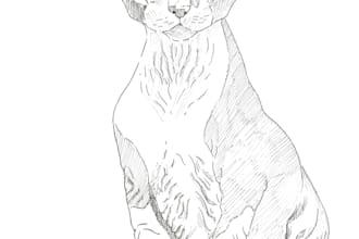 draw any wildlife animals or pets