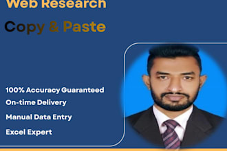 provide expert data entry and web research