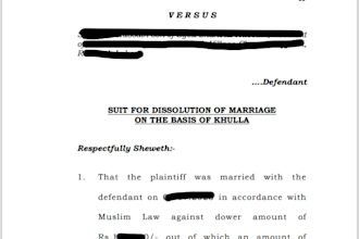 draft civil, criminal and family law legal documents