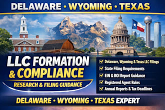 research delaware wyoming texas llc formation and filing compliance legal filing