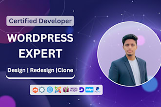 create, redesign, and develop professional wordpress and business websites