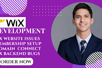 fix wix website issues wix membership fix wix bug connect domain