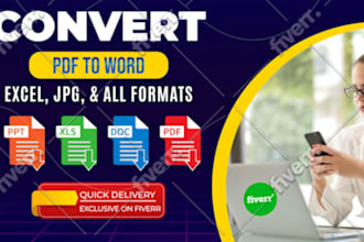 do data entry, PDF to excel, word, CSV, image to PDF