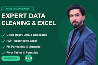 convert PDF to excel, clean messy data and create pivot tables