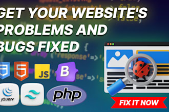 fix bugs and technical issues on your website