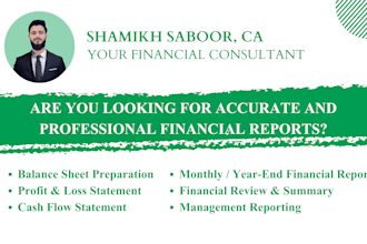 prepare professional financial statements and reports