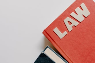 write legal articles and reports on international law and human rights